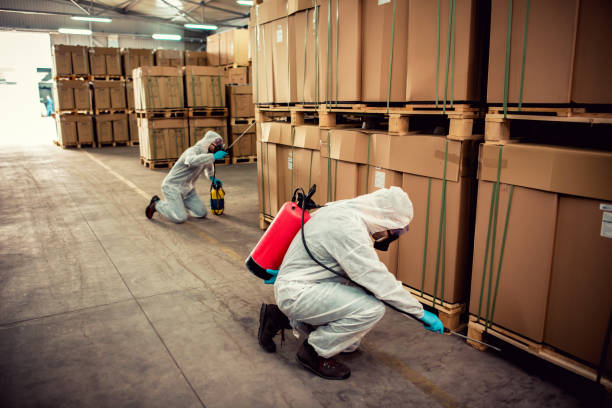 Best Local Pest Control Services  in Idaho Springs, CO