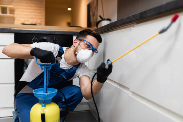 Best Cockroach Control Services  in Idaho Springs, CO