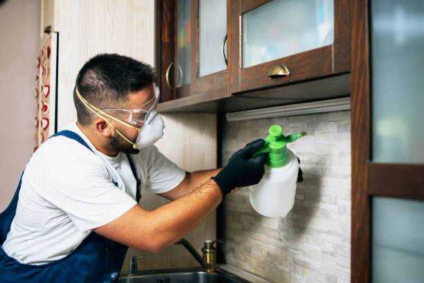 Best Best Pest Control Companies  in Idaho Springs, CO