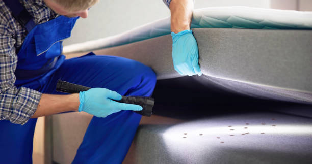 Best Mosquito Control Services  in Idaho Springs, CO